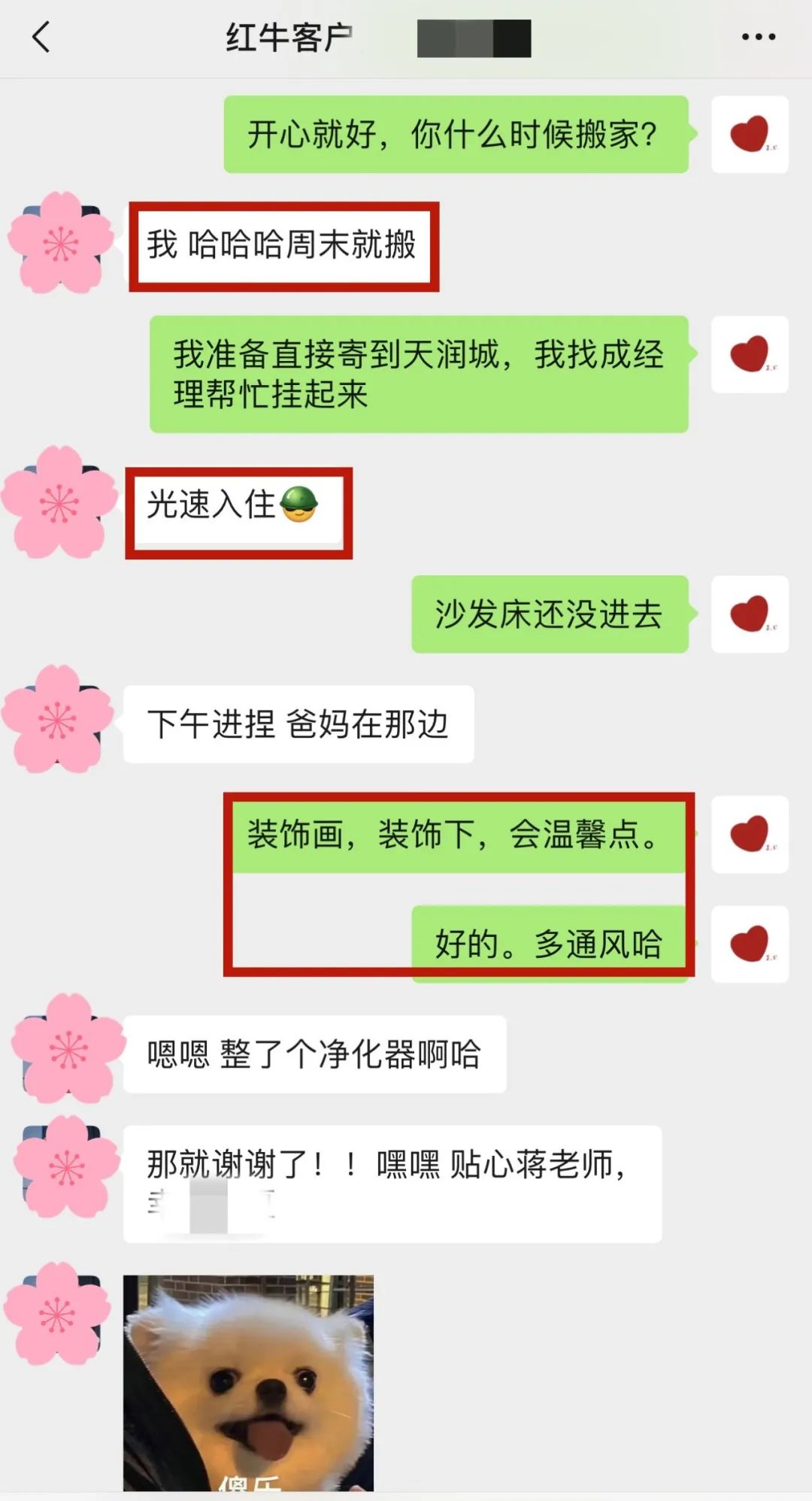 喜報(bào)｜金秋十月，收獲滿滿，紅牛裝飾再獲三面錦旗！05